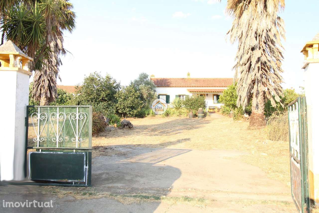 Quinta de 3050m2, Moradia T2 e Anexo 103,50m2 localizada em Foros de V - Grande imagem: 2/45