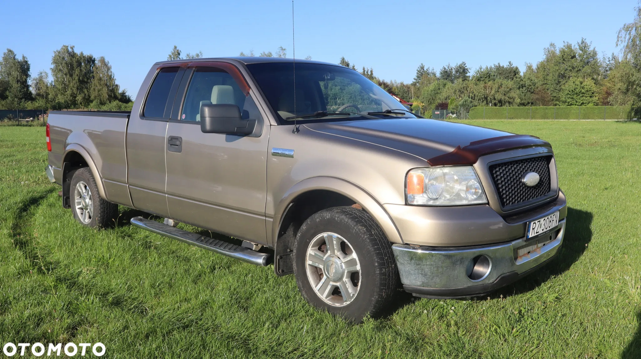 Ford F150 - 9
