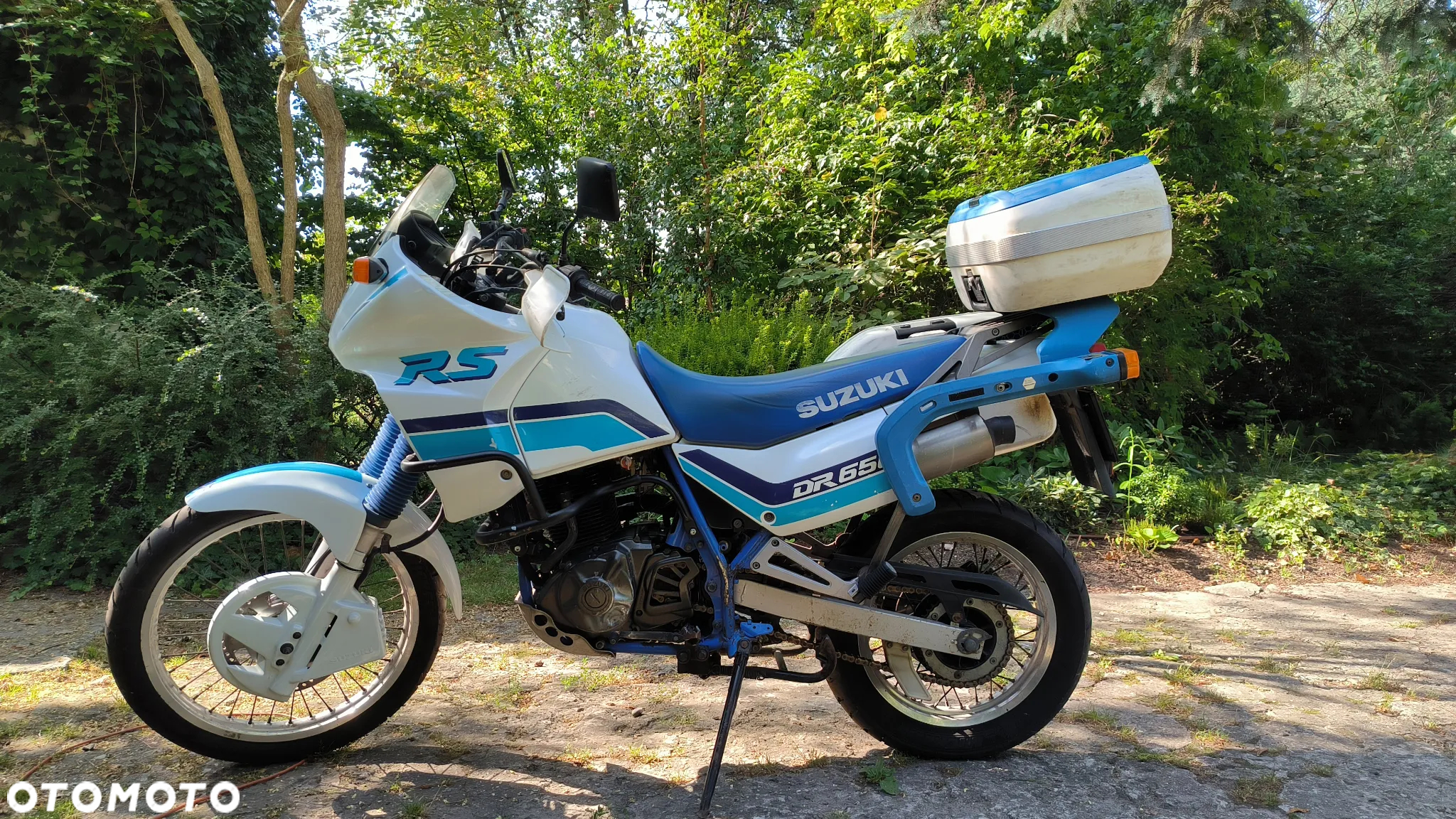 Suzuki DR