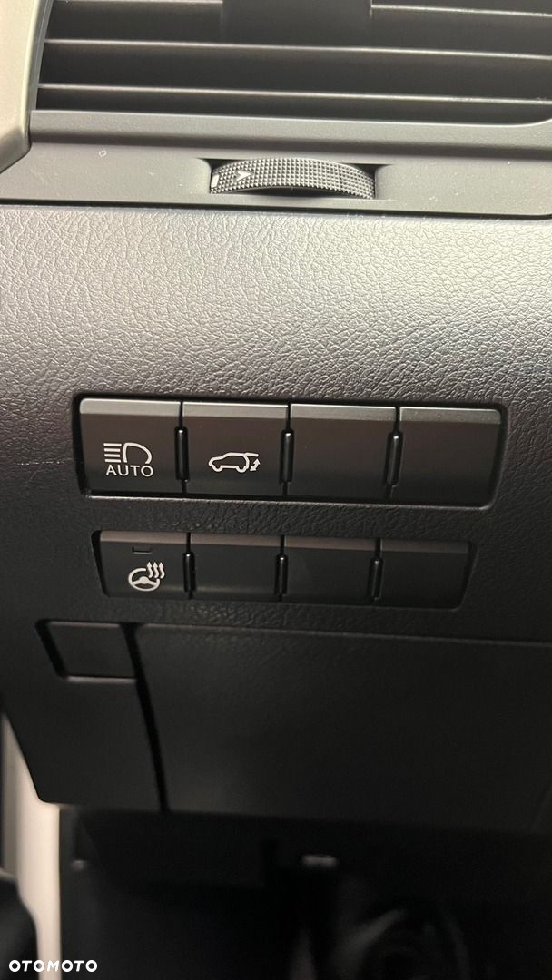 Lexus RX - 21