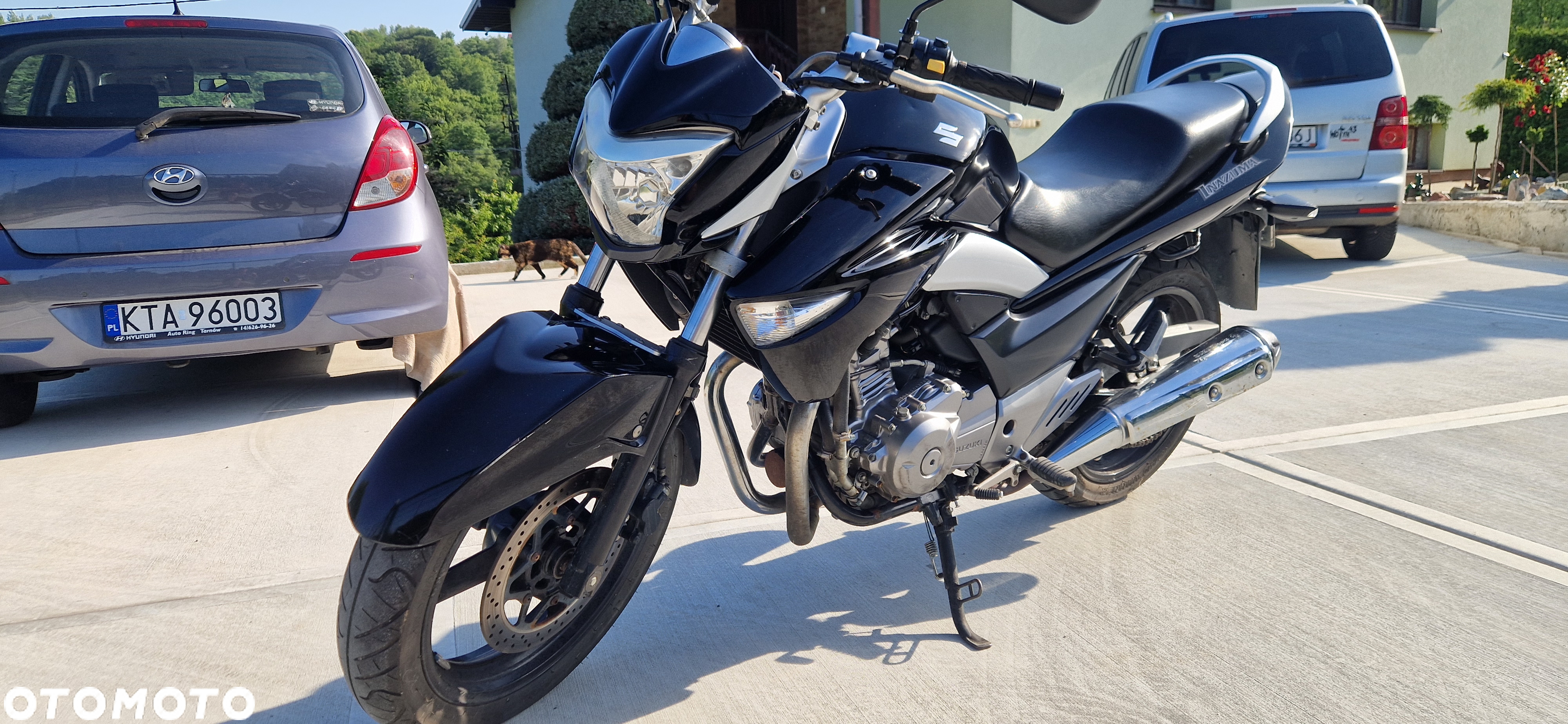 Suzuki GW 250 - 7