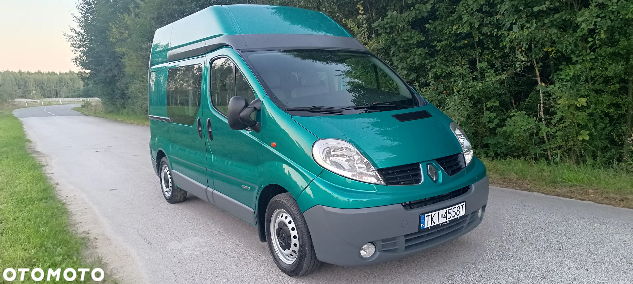 Renault Trafic - 3