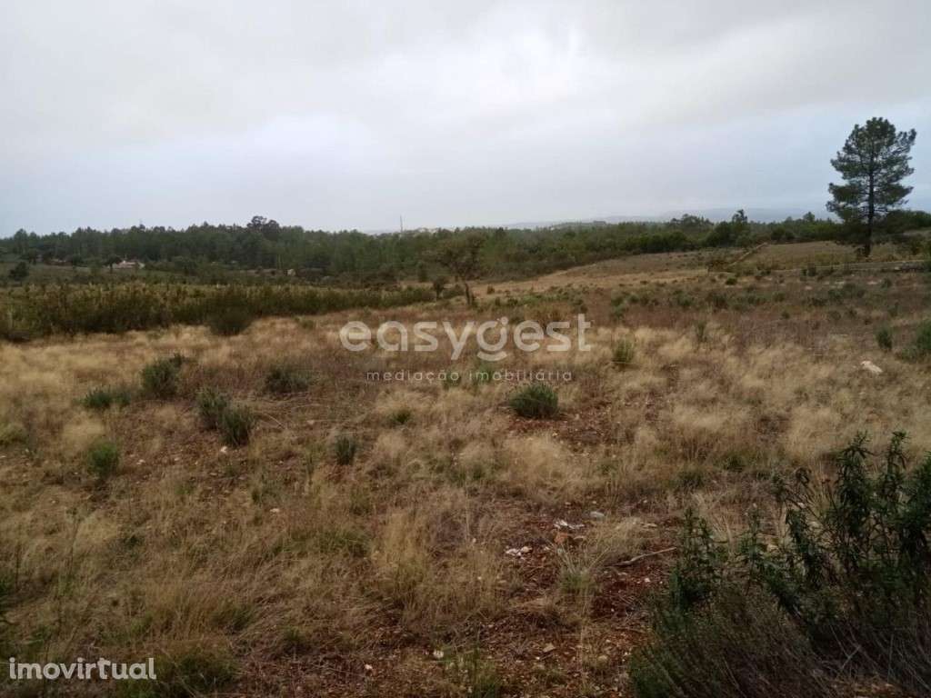 Excelente Terreno Rústico na freguesia de Benquerencas , C. Branco - Grande imagem: 5/16