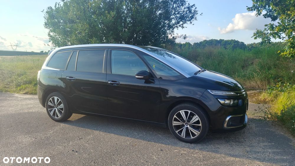 Citroën C4 Picasso 1.6 BlueHDi MoreLife - 2