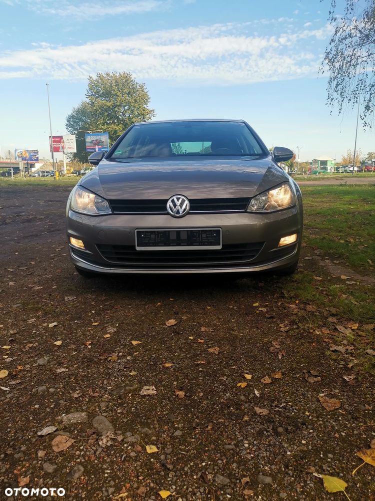 Volkswagen Golf - 30