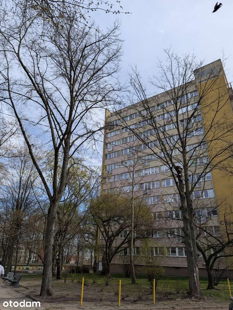 2 pokojowe, ścisłe, ale ciche centrum Szczecina