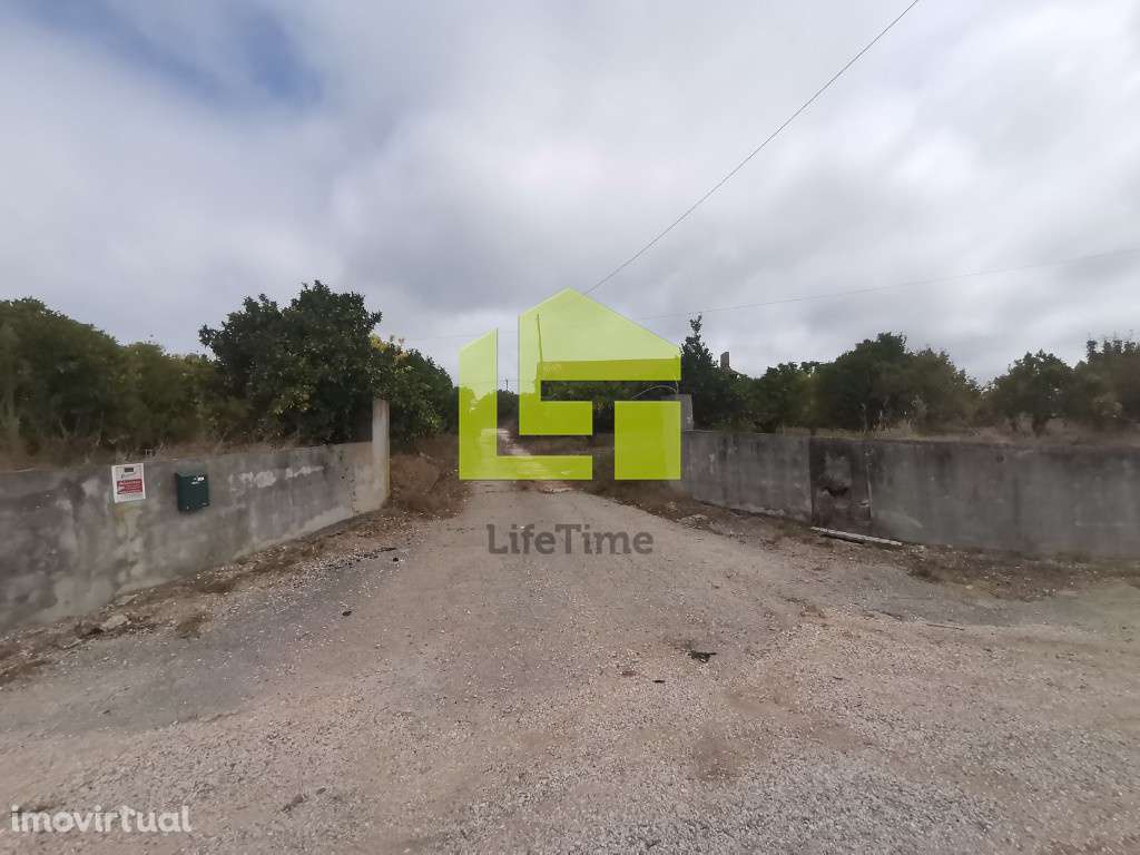 Quinta em Soure - Grande imagem: 2/13