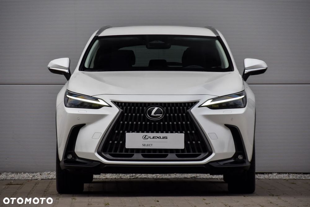 Lexus NX 350h Business AWD - 7