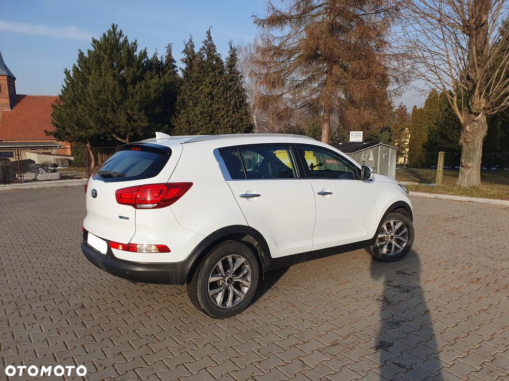Kia Sportage 1.6 GDI Business Line 2WD - 19