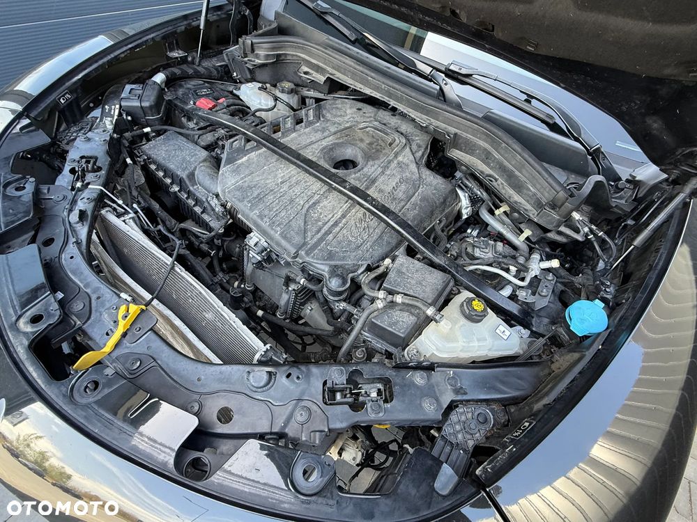 Alfa Romeo Stelvio 2.2 JTDM Q4 - 17