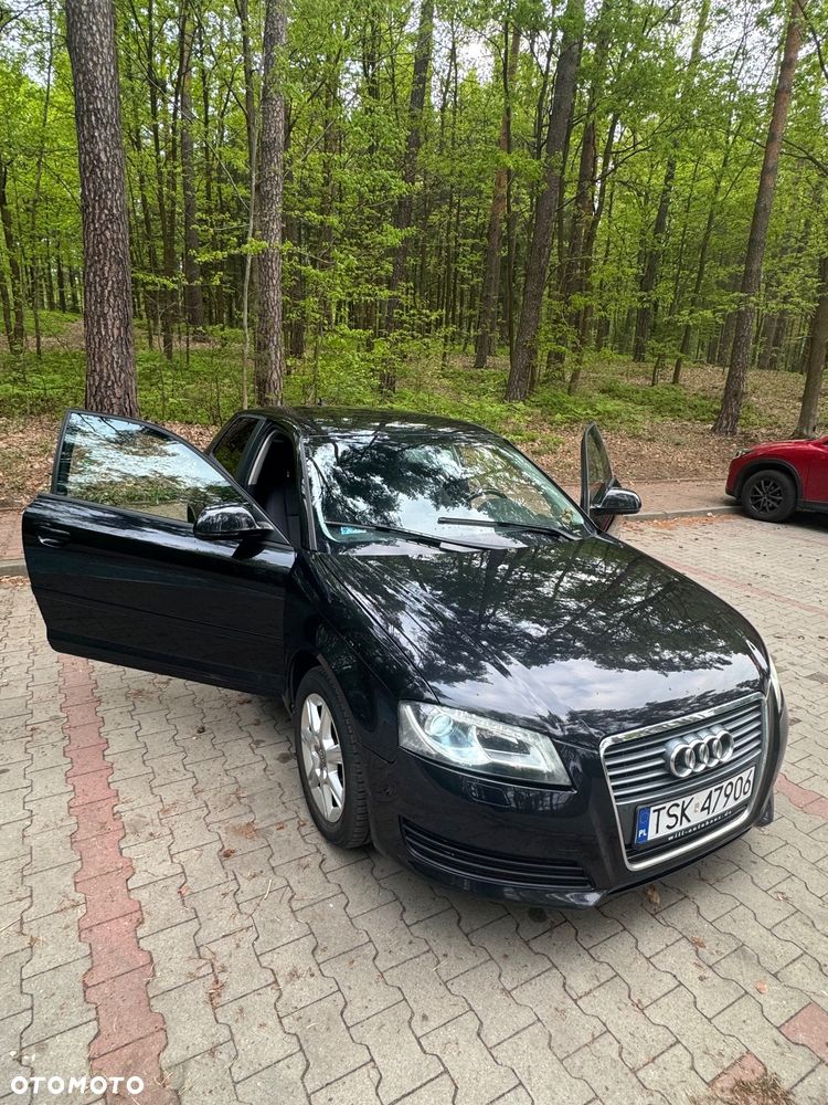 Audi A3 3-drzwiowe 1.6 TDI DPF Attraction - 31