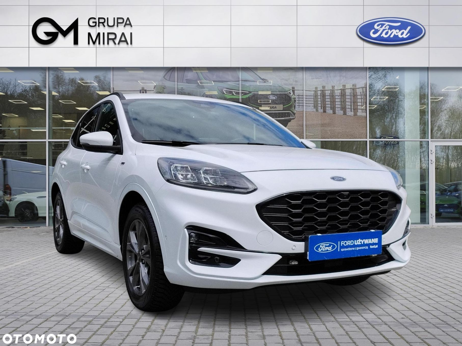 Ford Kuga 2.0 EcoBlue AWD ST-Line X - 7