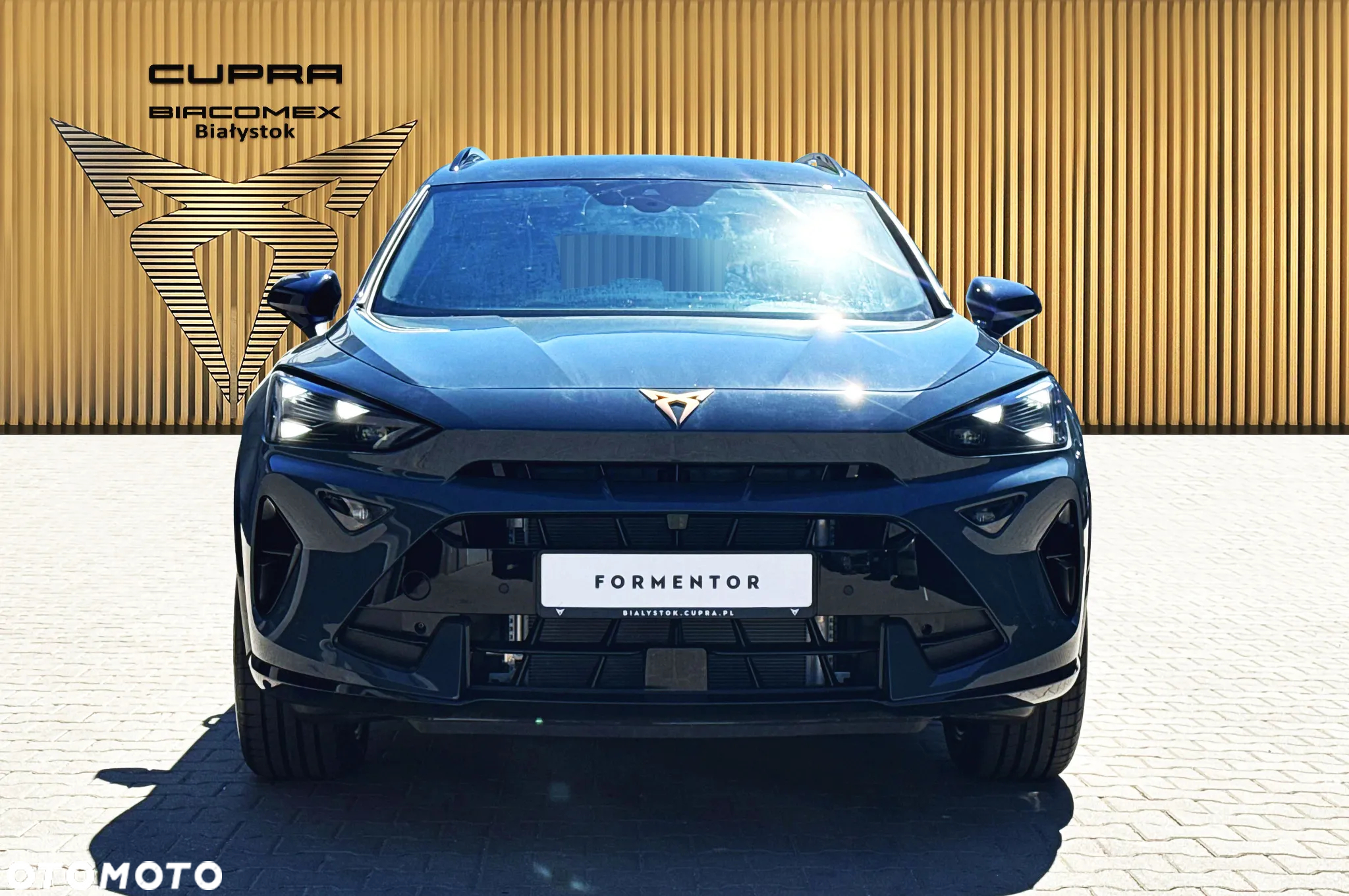 Cupra Formentor 1.5 TSI DSG - 9