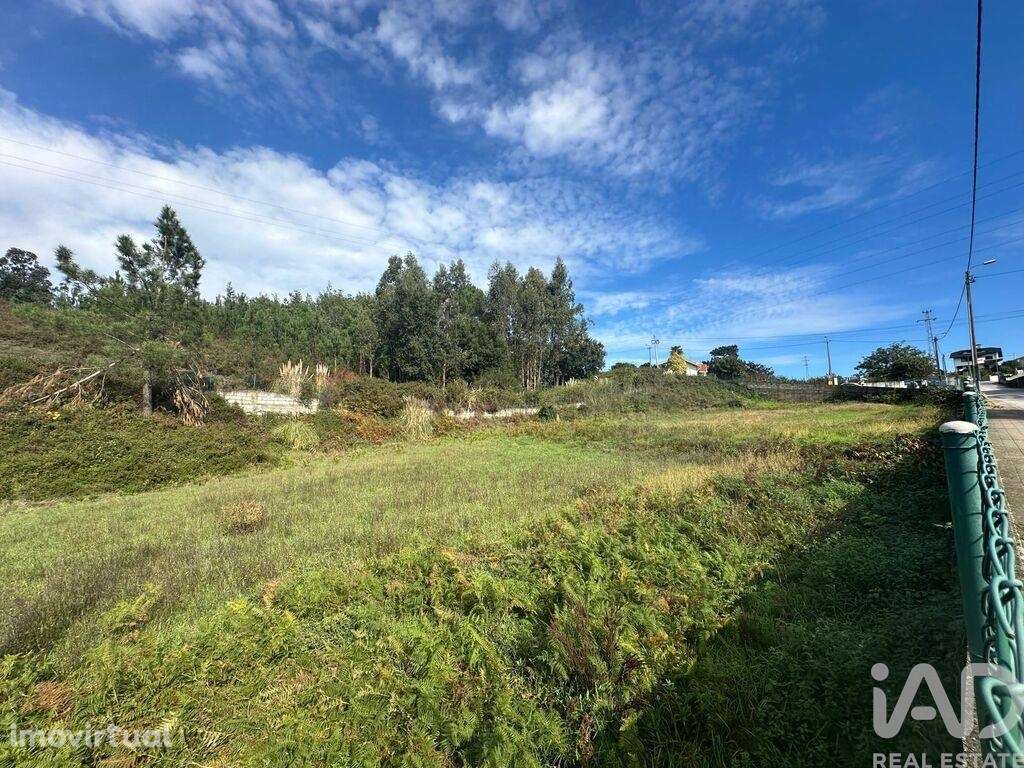 Terreno Agrícola em Foz do Sousa e Covelo - Grande imagem: 4/4