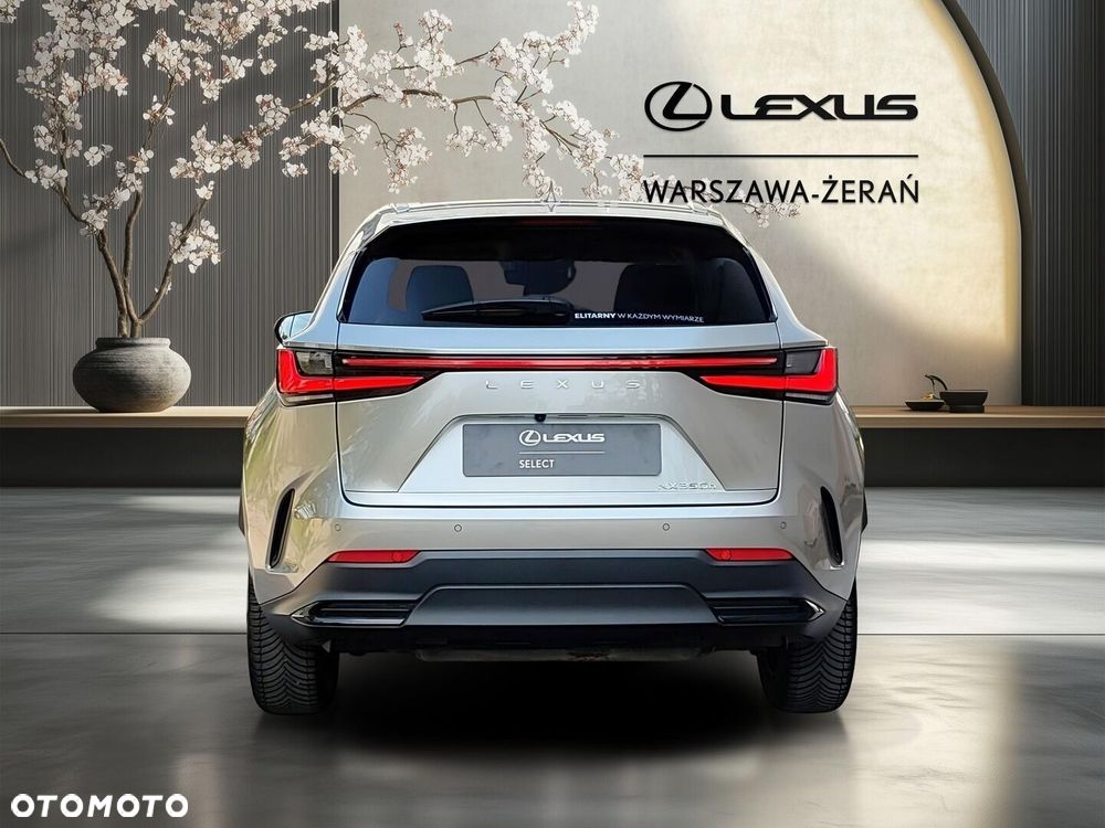 Lexus NX 350h Prestige 2WD - 7