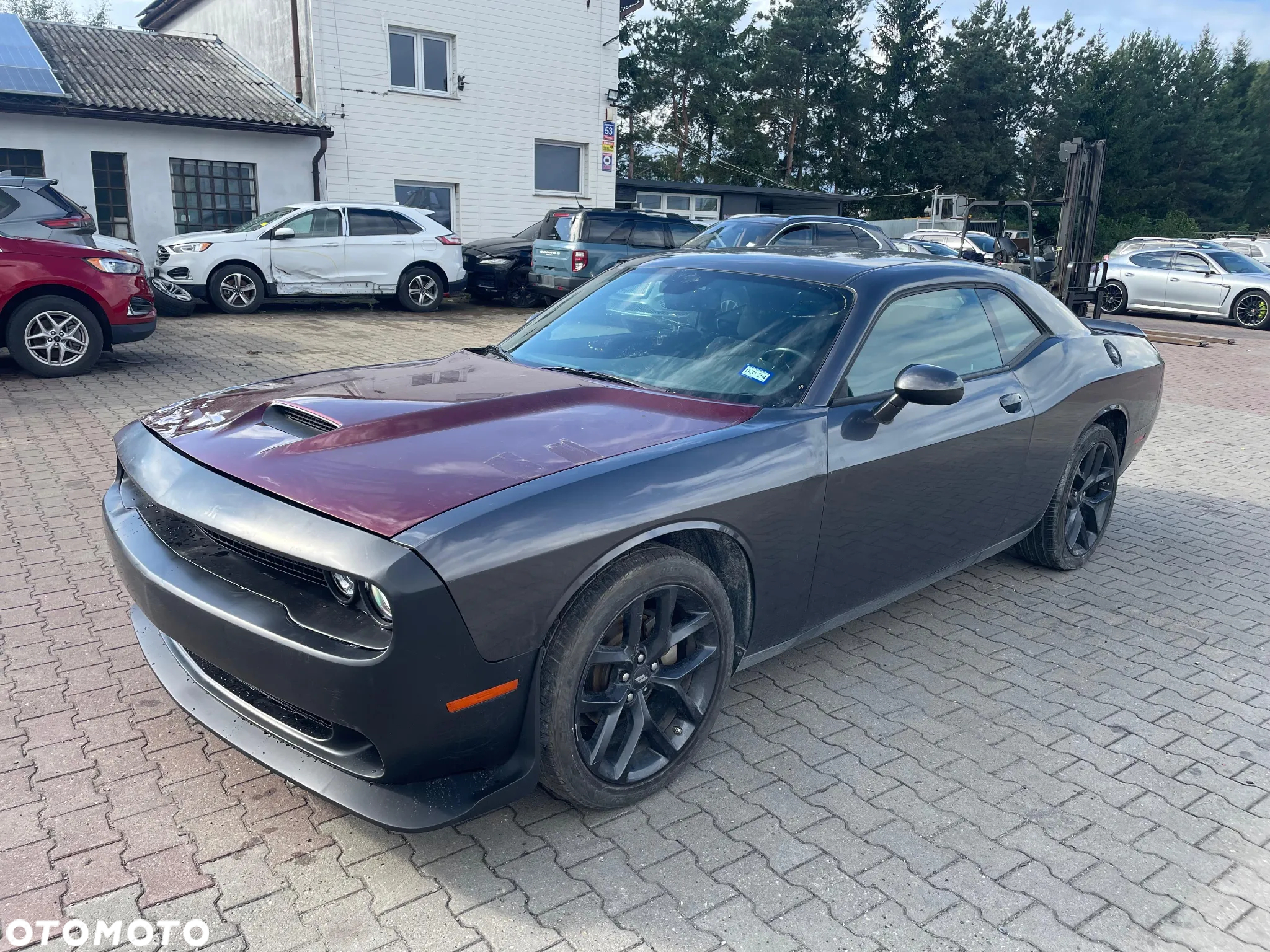 Dodge Challenger 3.6 SXT - 2