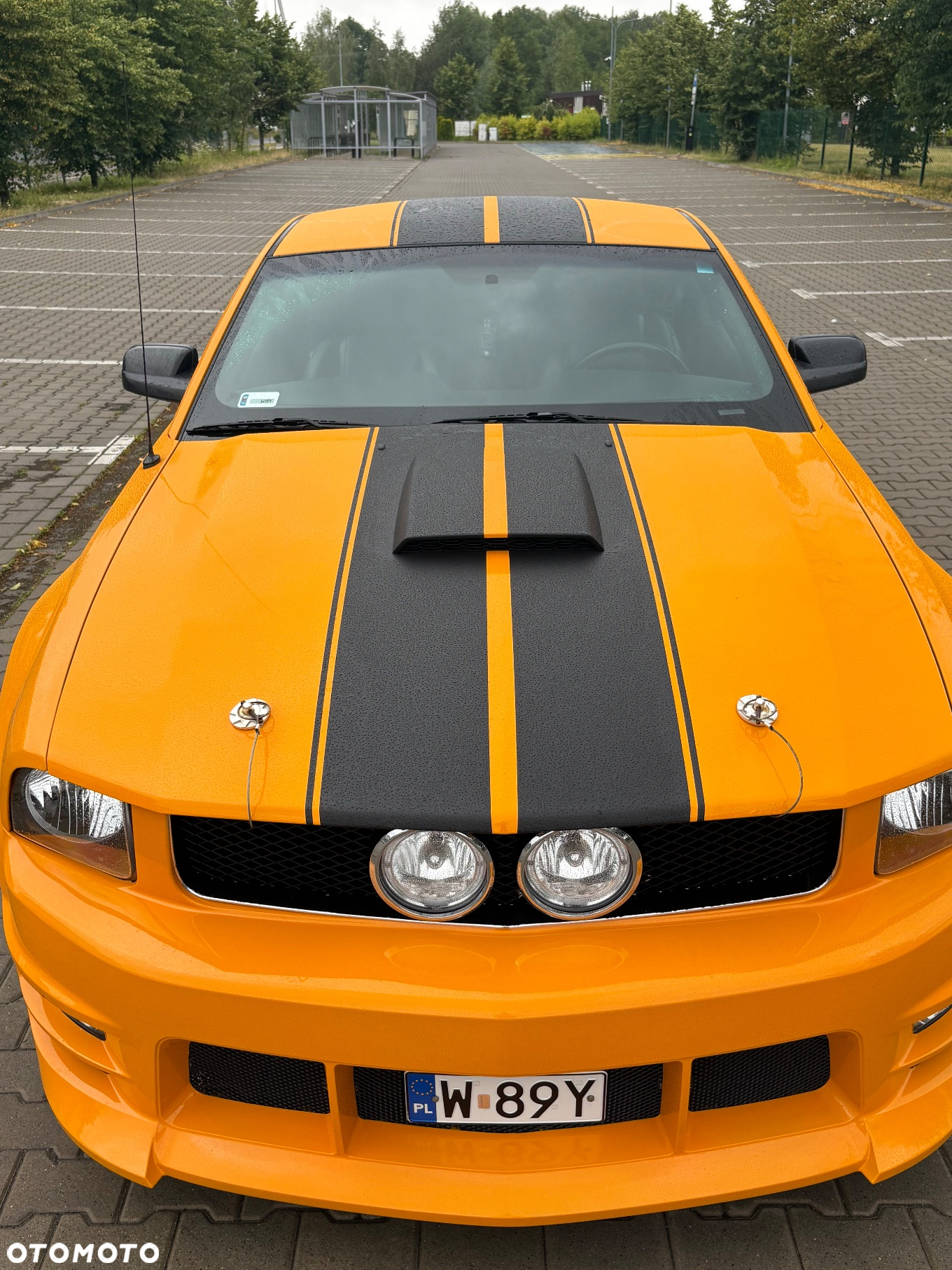 Ford Mustang - 6