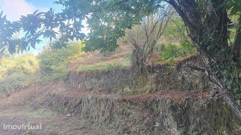 Terreno 1,2 ha com ruínas e viabilidade de construção – Esculca/Côja - Grande imagem: 5/12