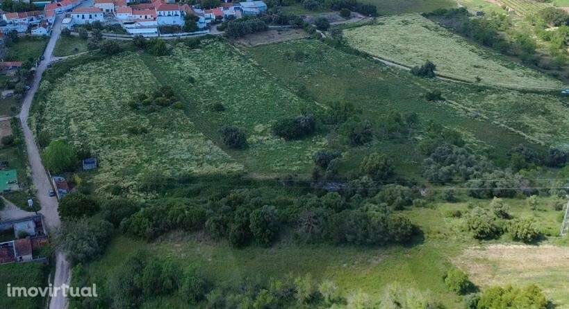 Quinta em Quinta do Anjo - Palmela - Grande imagem: 2/15