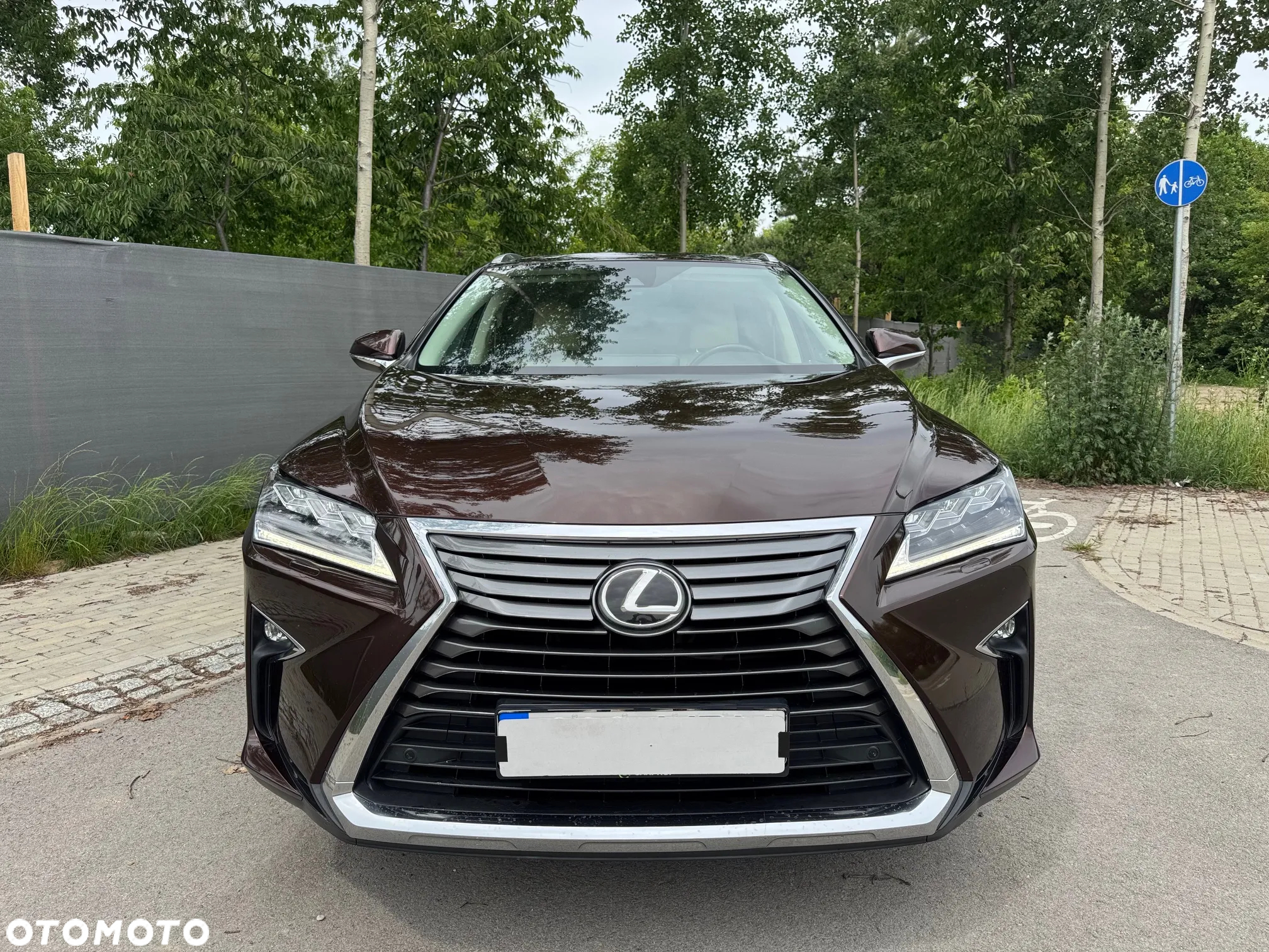 Lexus RX 200t AWD Luxury Line - 2