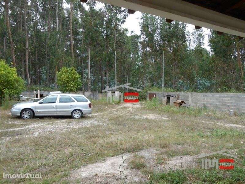 Quintinha - Grande imagem: 3/23