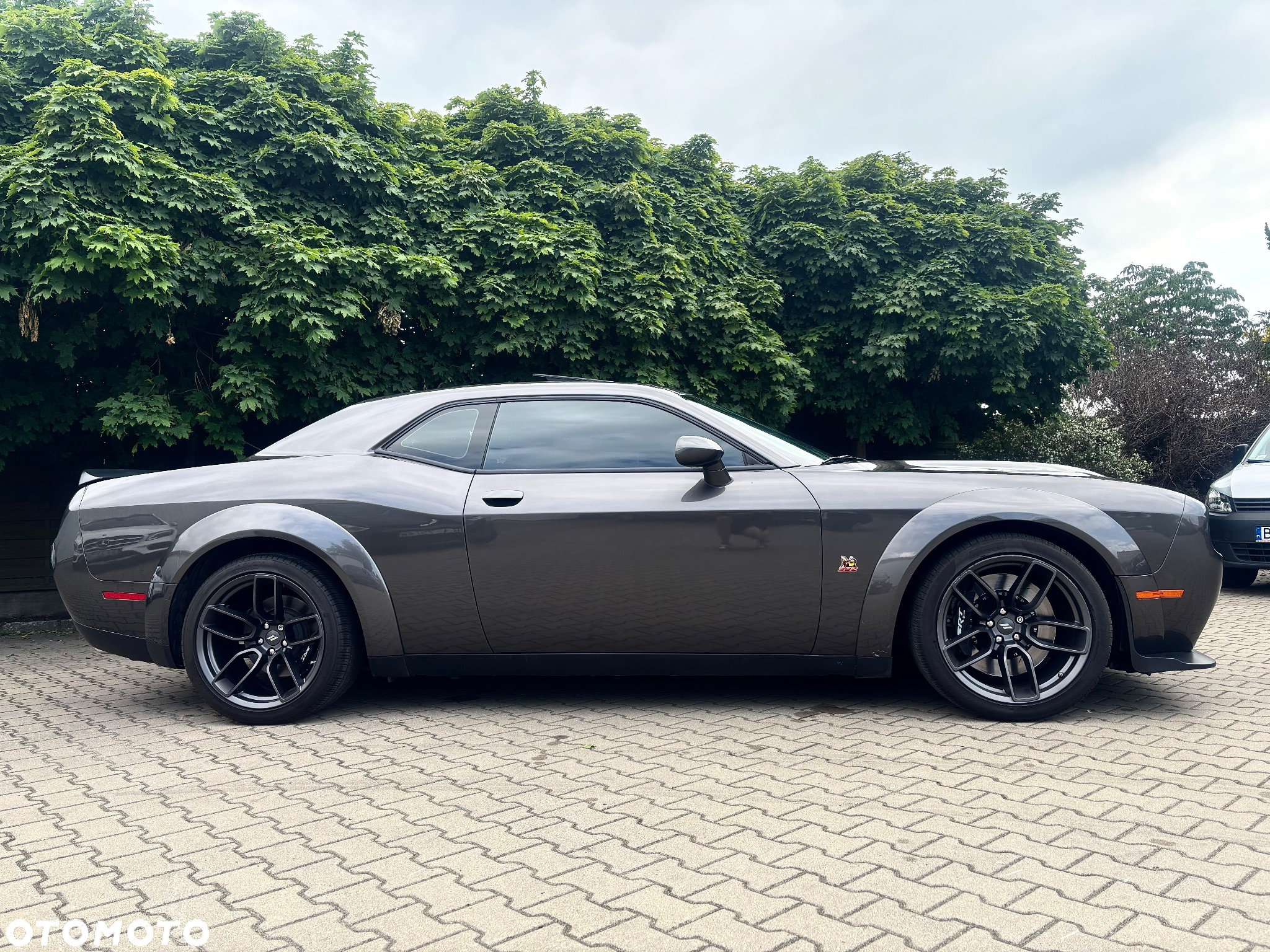 Dodge Challenger 6.4 Scat PackWidebody - 5