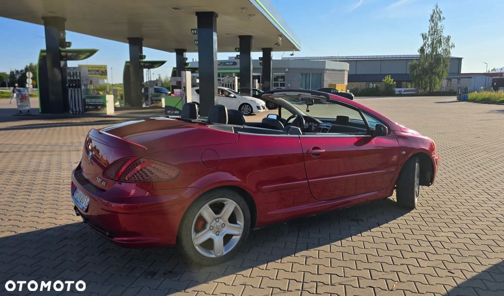 Peugeot 307 2.0 Sporty - 7