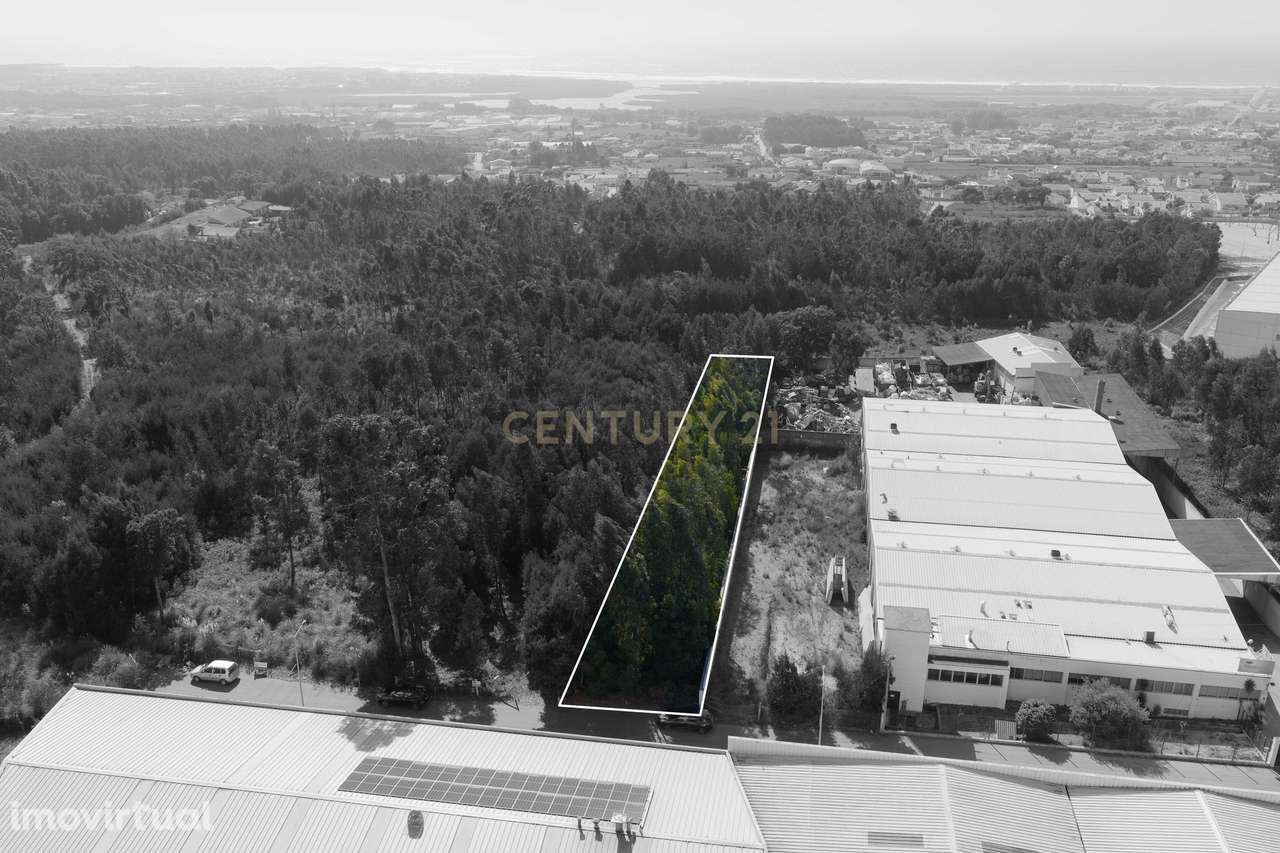 Terreno com possibilidade de construção industrial em Paramos-Espinho - Grande imagem: 3/4