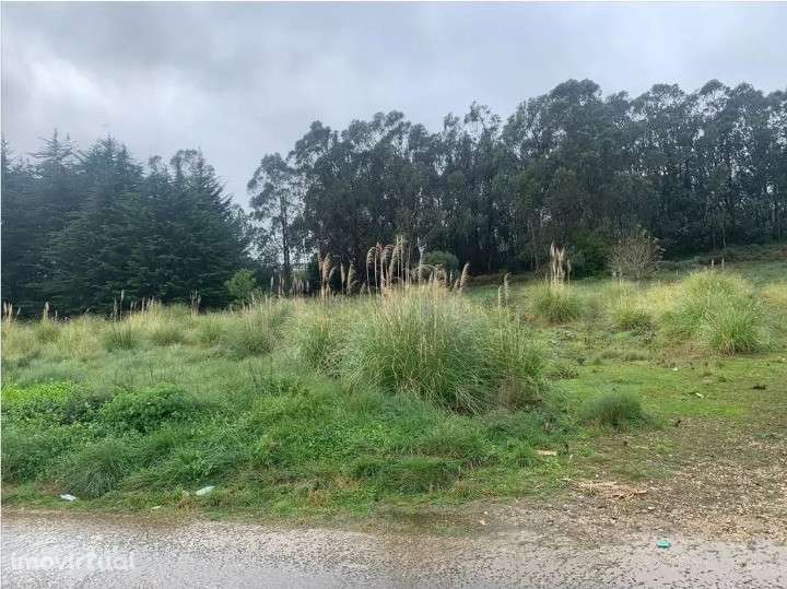 Terreno  Venda em Sintra (Santa Maria e São Miguel, São Martinho e São - Grande imagem: 2/13