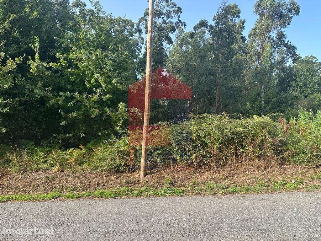 Terreno para construção, Goães - Grande imagem: 2/13