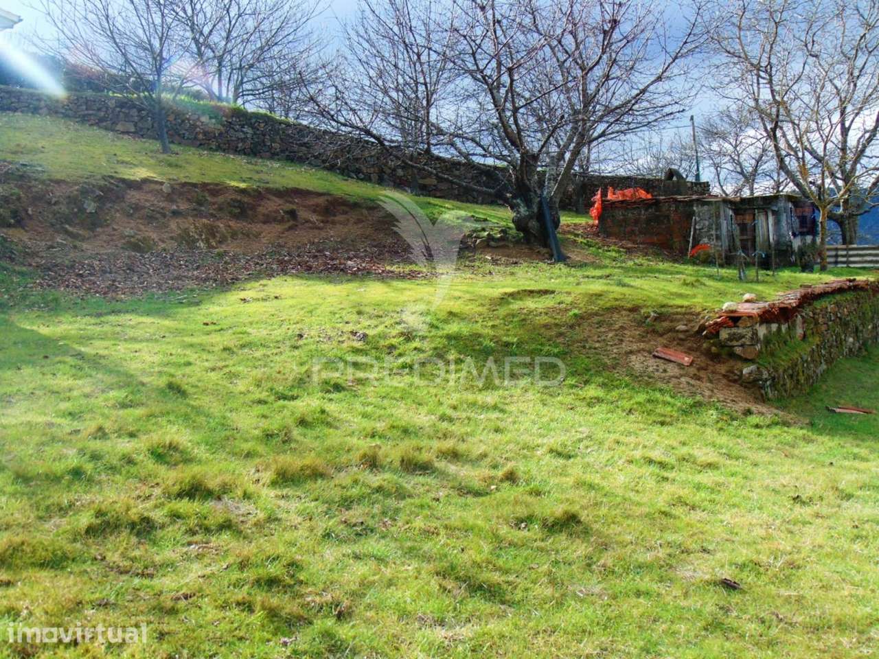 Terreno Urbanizável - Pomarelhos a 8 kms Vila Real - Grande imagem: 5/12