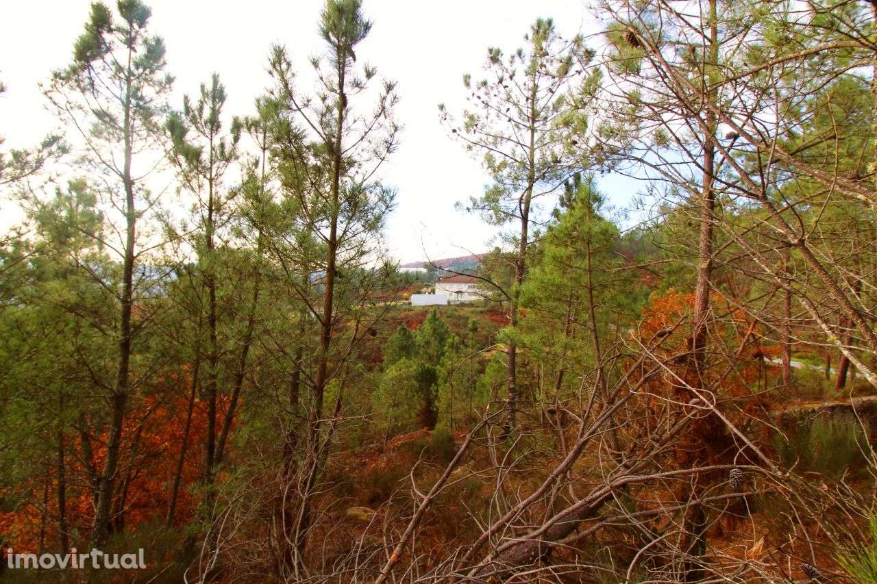 Excelente Propriedade com 5,18 Hectares - Grande imagem: 3/20