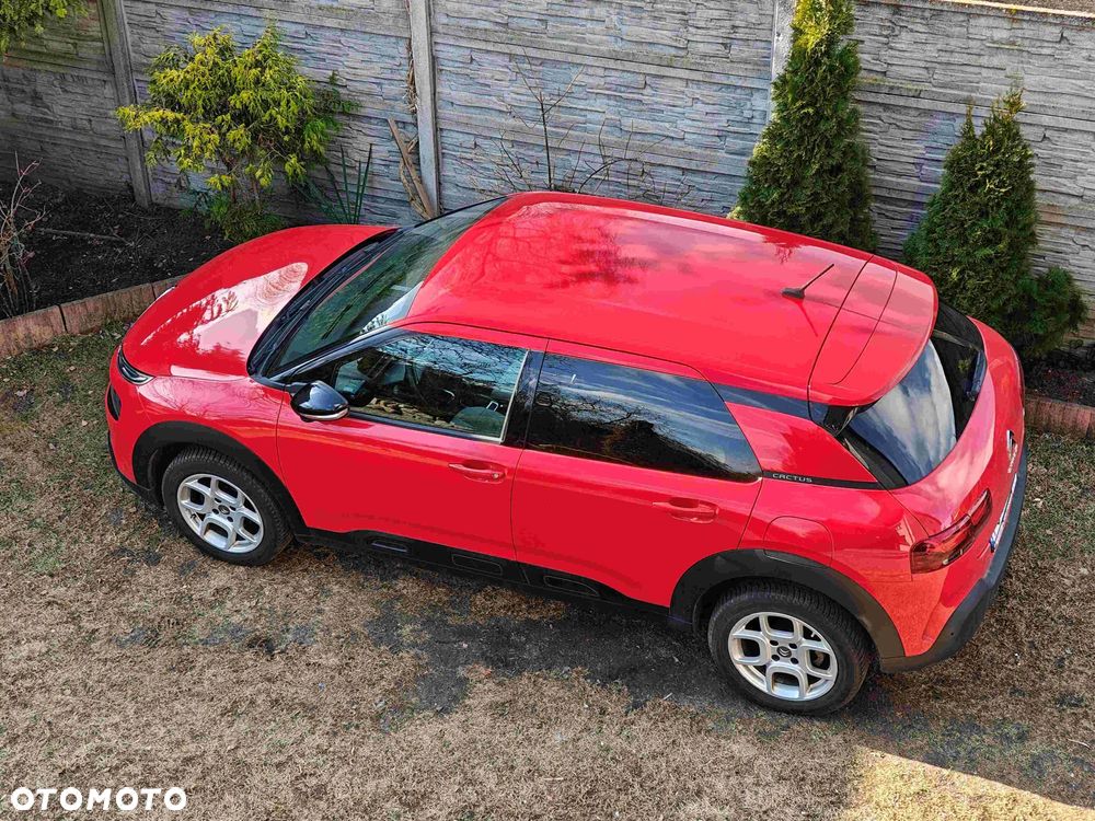 Citroën C4 Cactus 1.2 PureTech Shine S&S EAT6 - 8