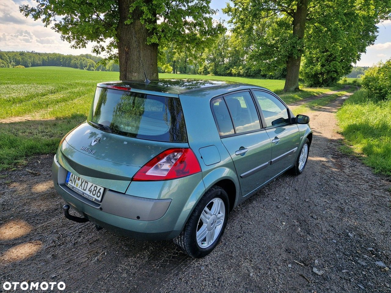 Renault Megane 1.6 Luxe Privilege - 39