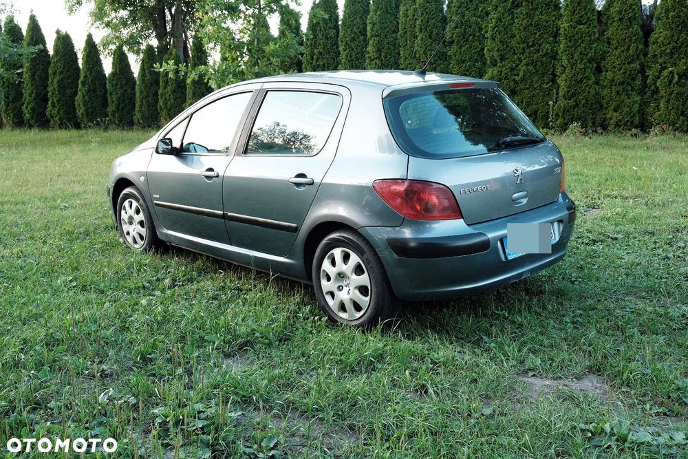Peugeot 307 - 5
