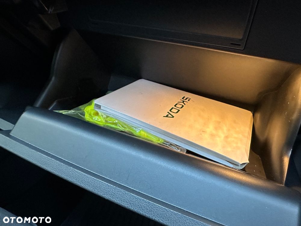 Skoda Karoq 1.5 TSI ACT Selection DSG - 19