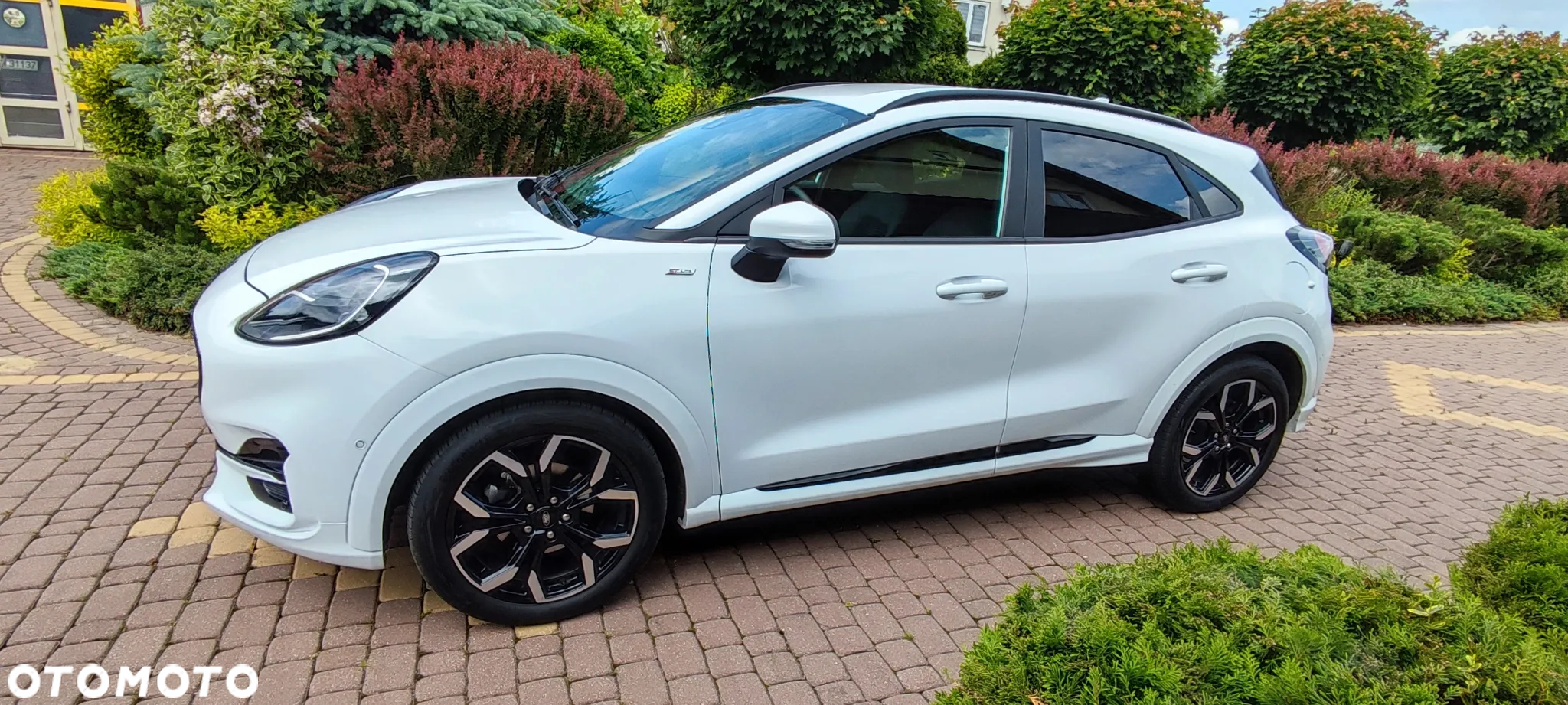 Ford Puma 1.0 EcoBoost mHEV ST-Line X Gold DCT - 3