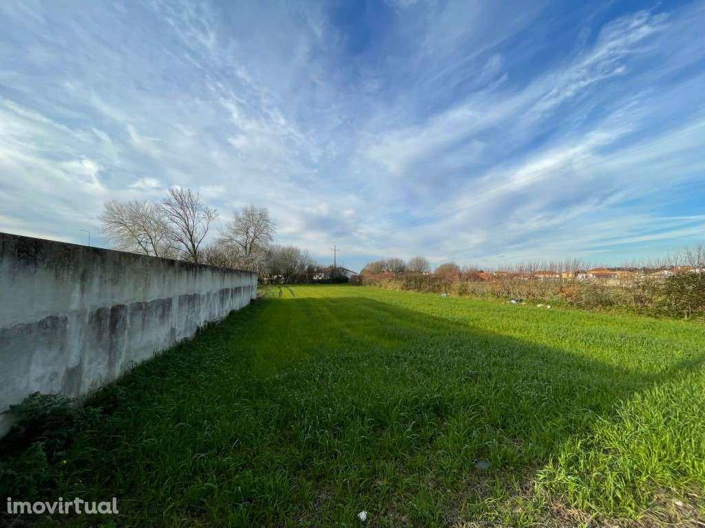 TERRENO P/CONSTRUÇÃO - MURTOSA - Grande imagem: 3/7