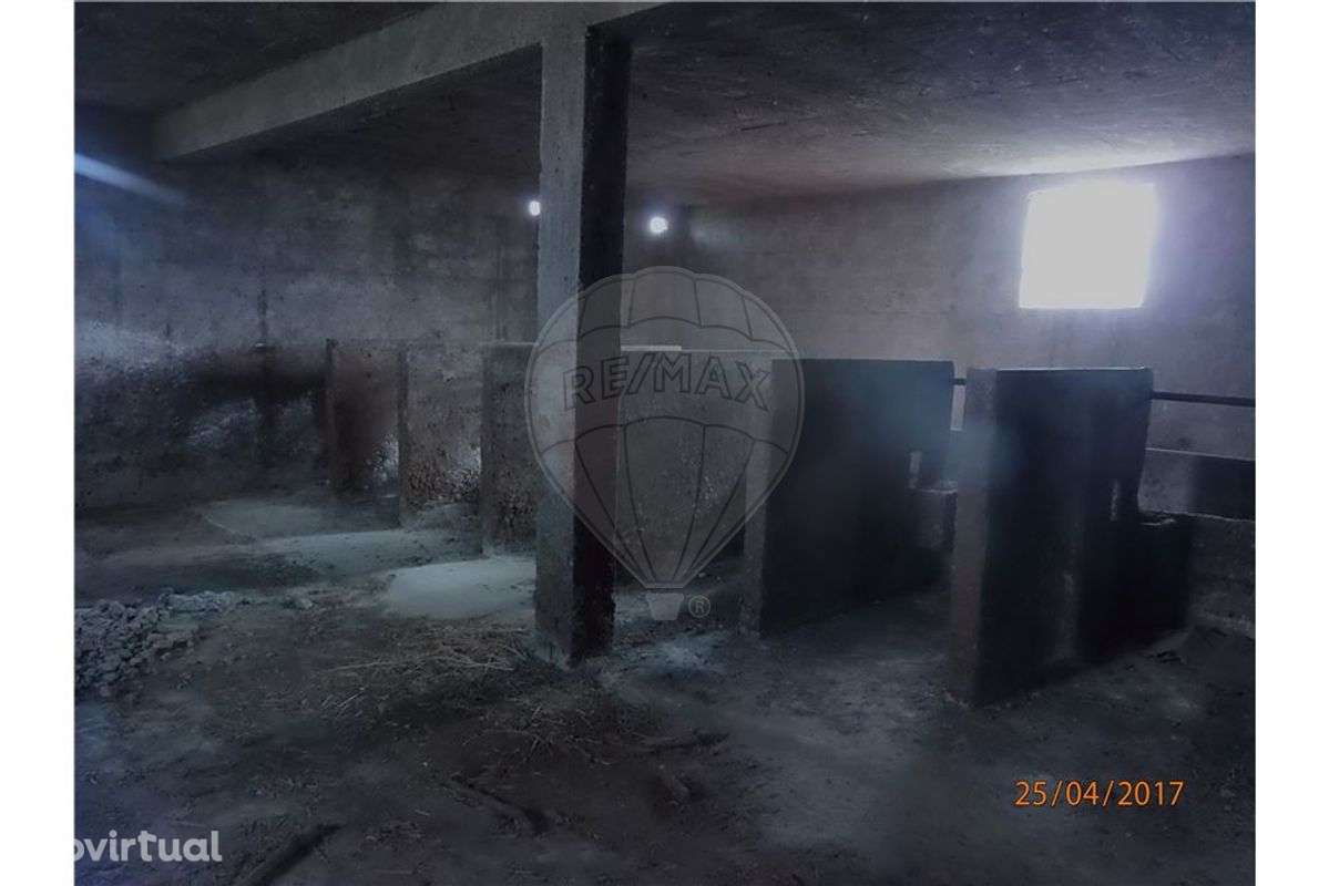 TERRENO - VENDA CARVIDE - Grande imagem: 4/13