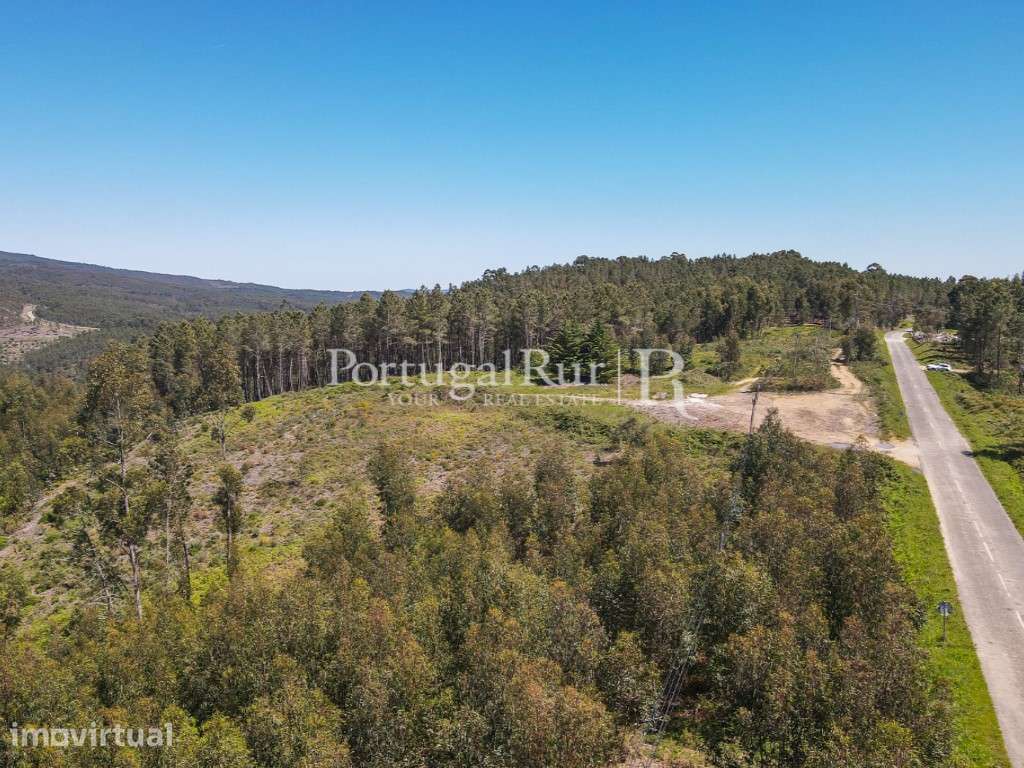 Terreno com 1.750 m2 próximo de proença-a-nova - Grande imagem: 3/11