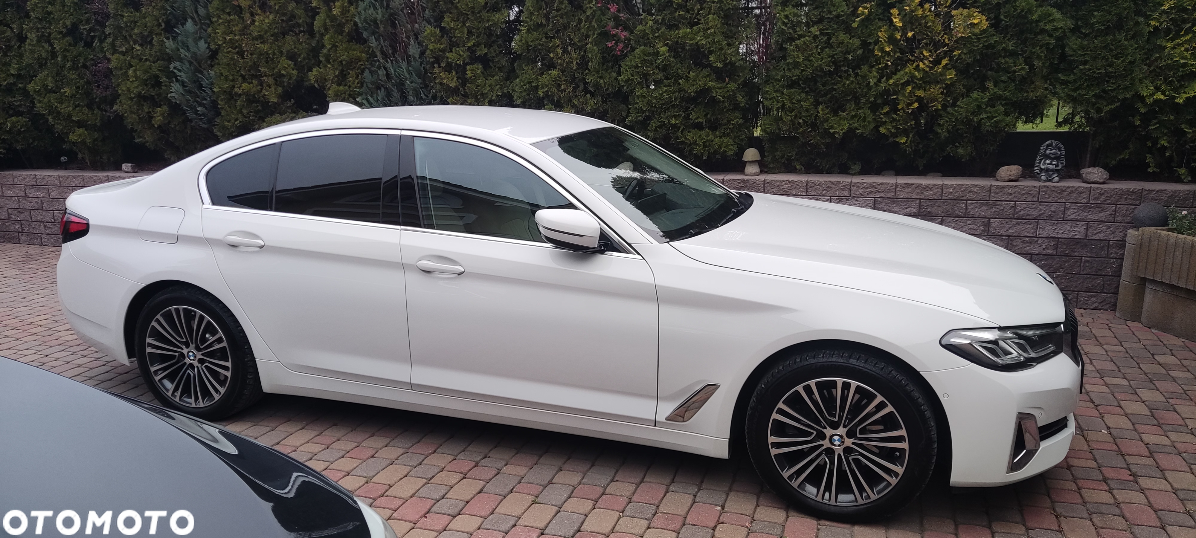 BMW Seria 5 - 18