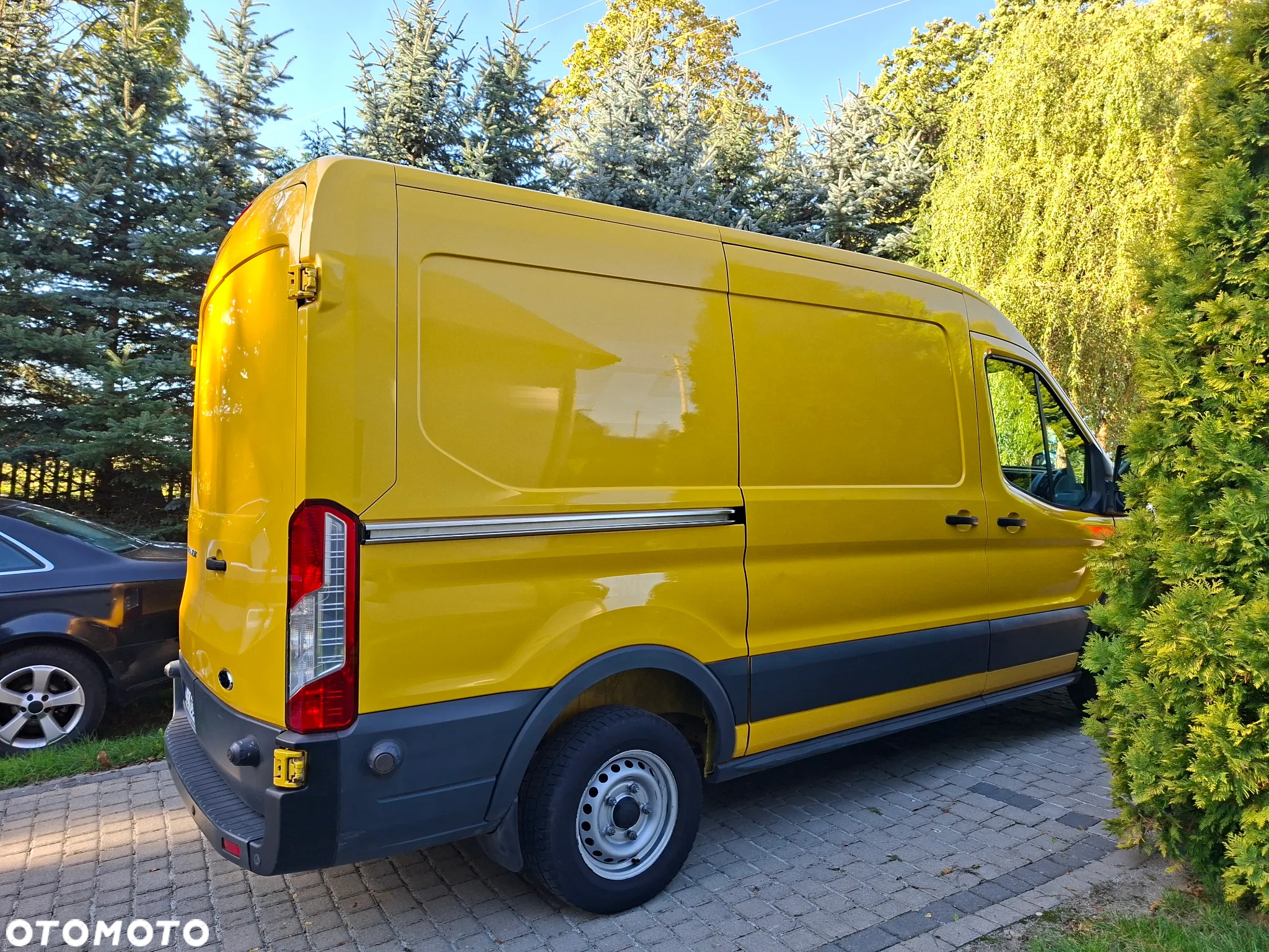 Ford Transit - 5