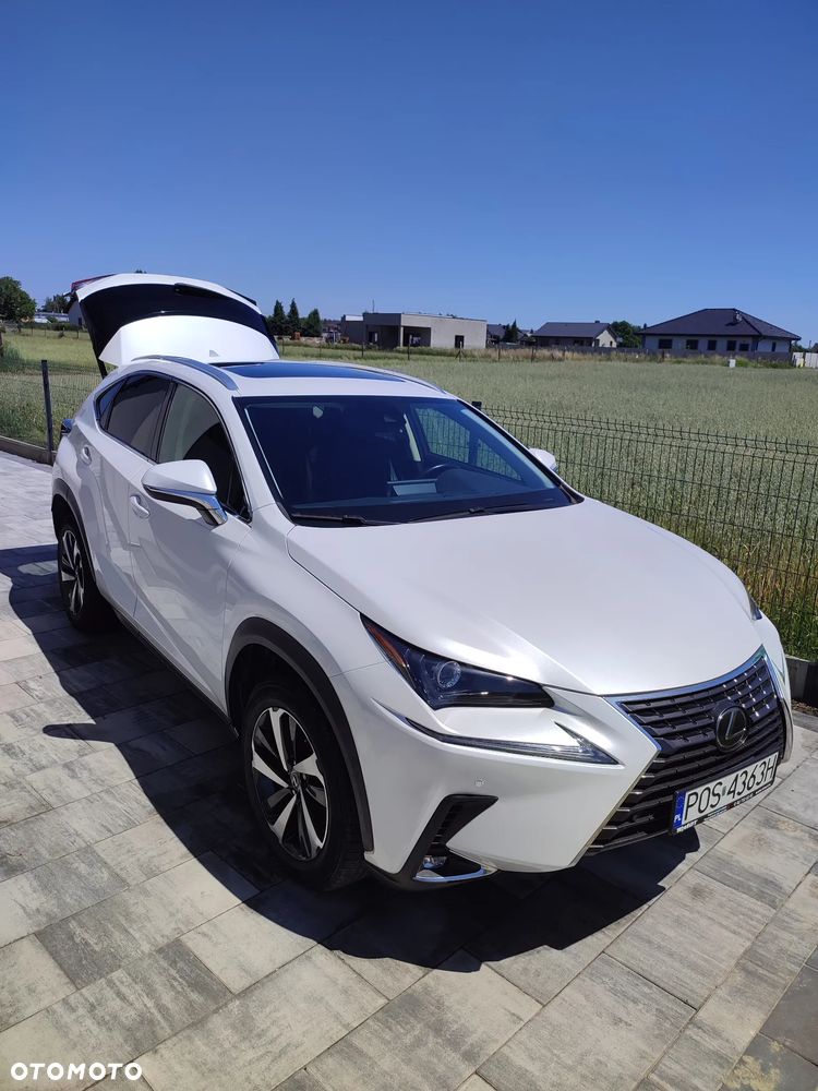 Lexus NX 300 - 1