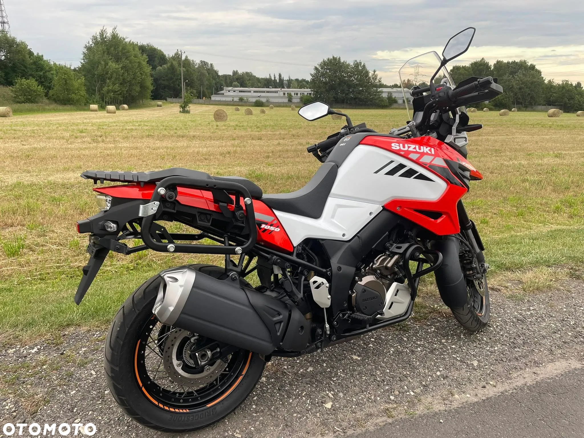 Suzuki DL