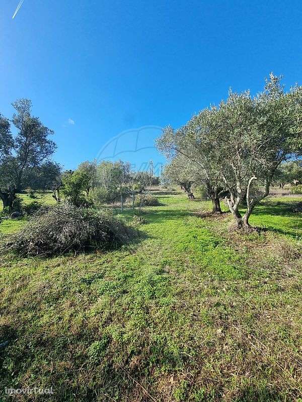 Terreno  para venda - Grande imagem: 4/5