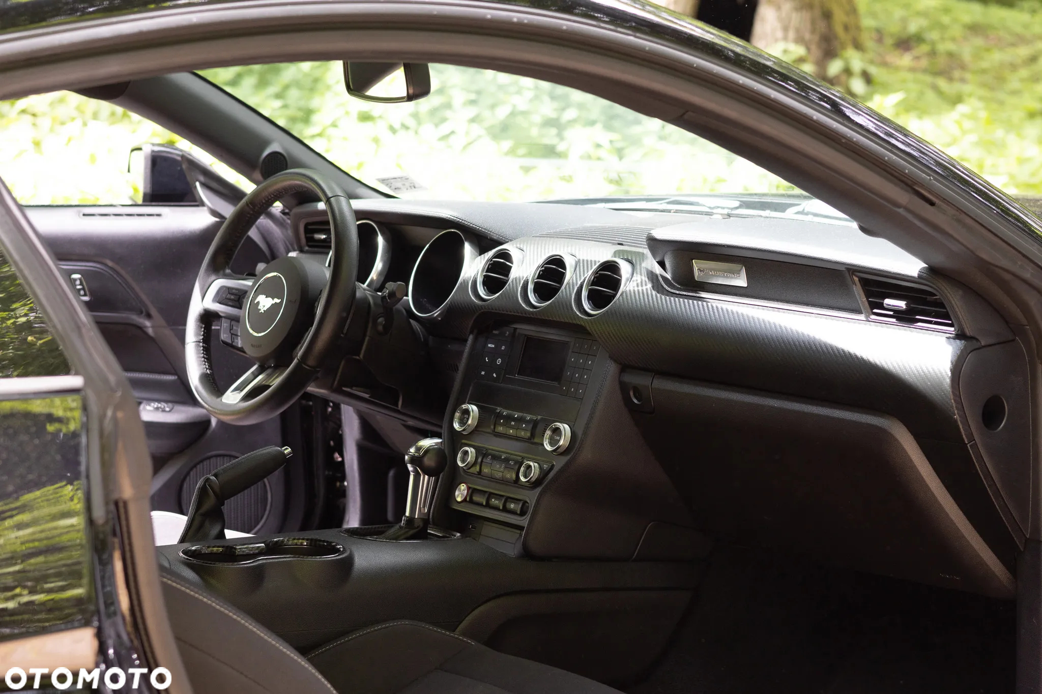 Ford Mustang - 17