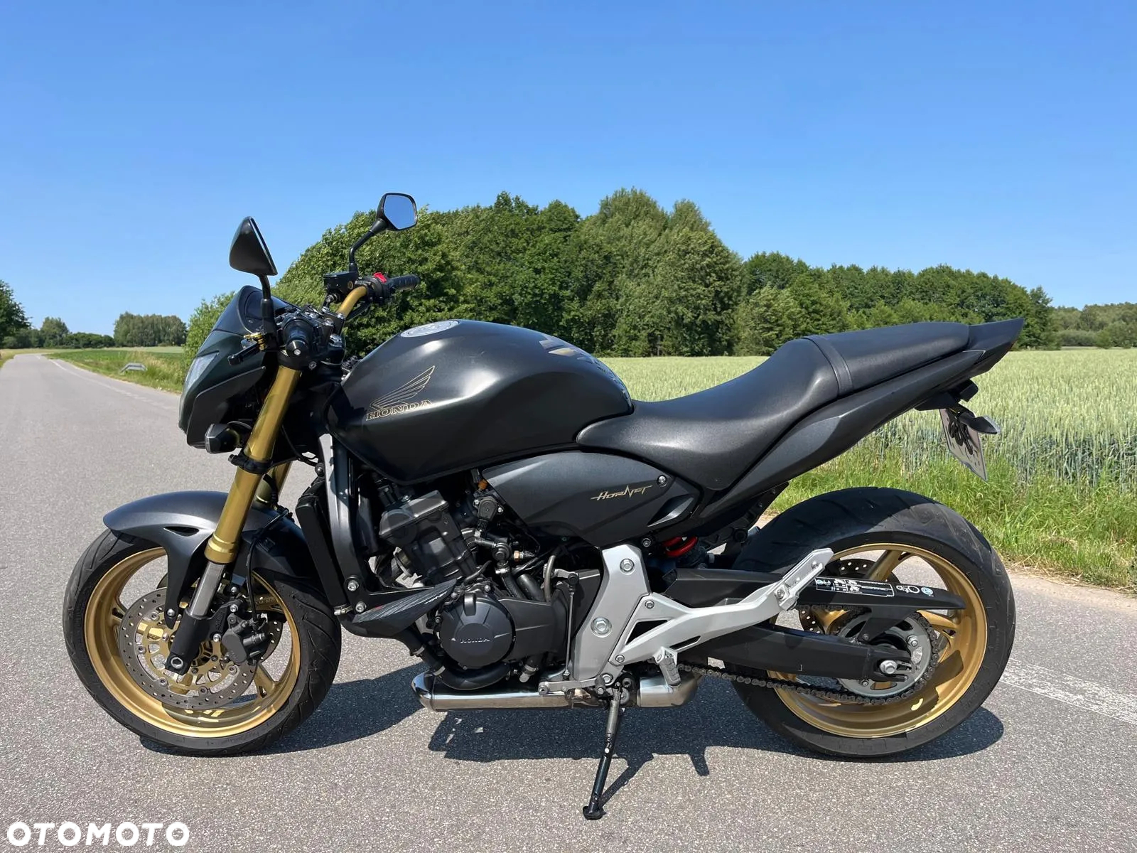 Honda Hornet - 3