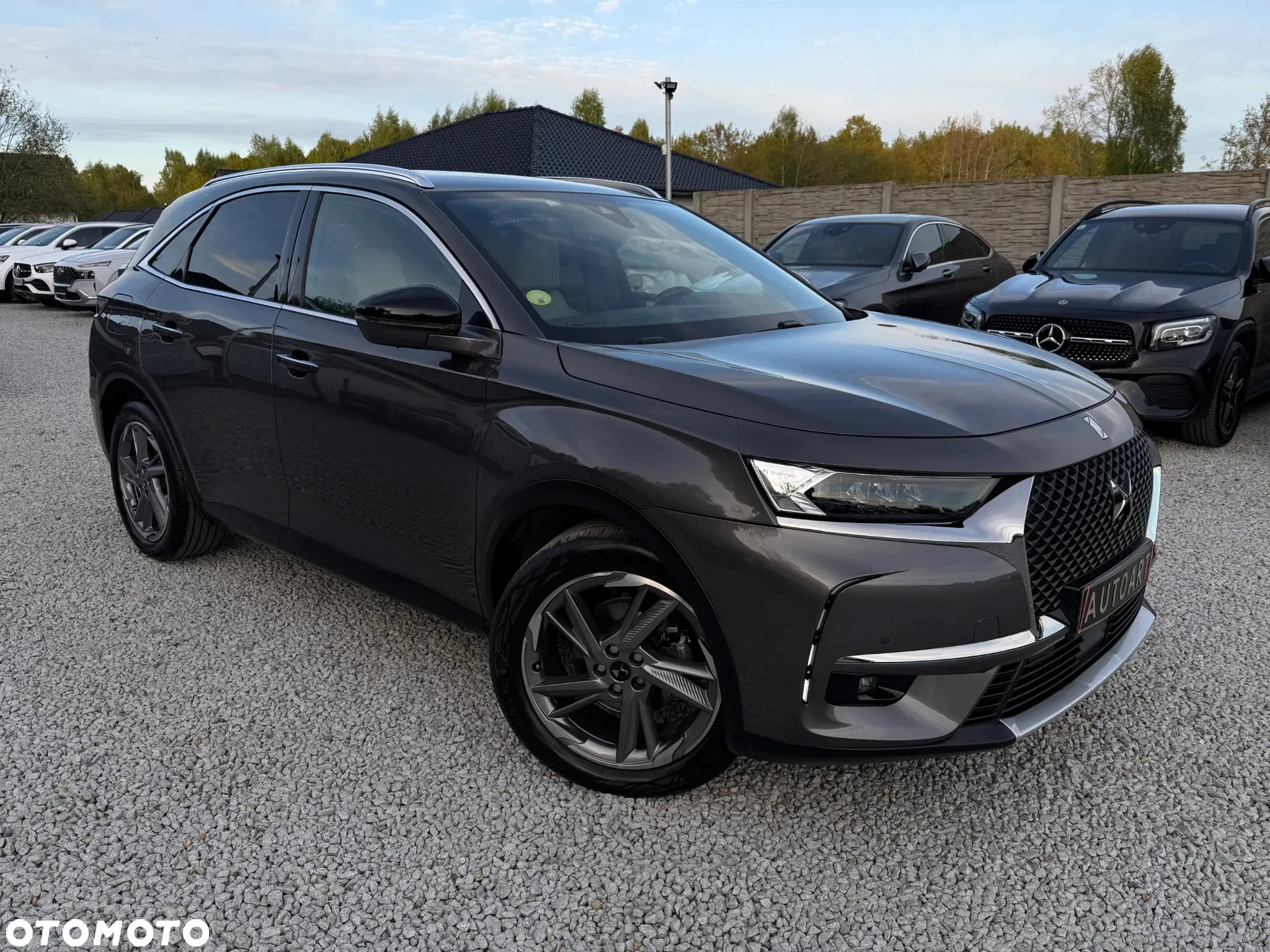 DS Automobiles DS 7 Crossback 2.0 BlueHDi Grand Chic - 20