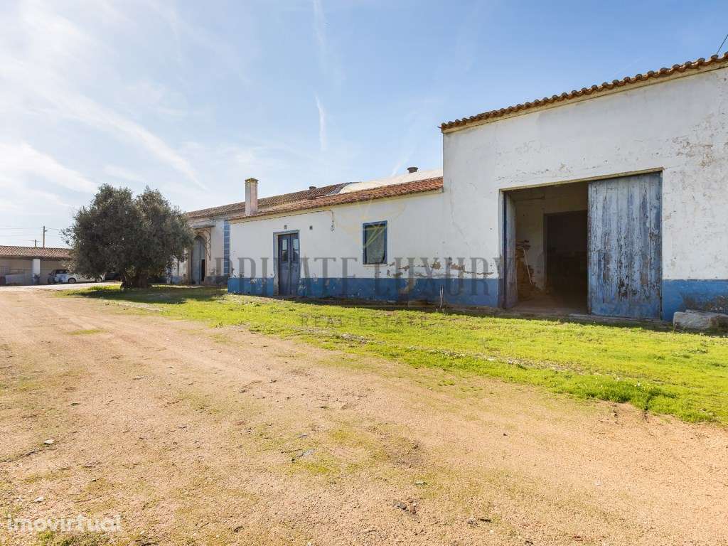 Quinta de renome em plena Vidigueira - Grande imagem: 2/43