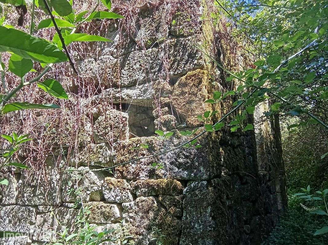 Quinta T2 para venda - Grande imagem: 2/13